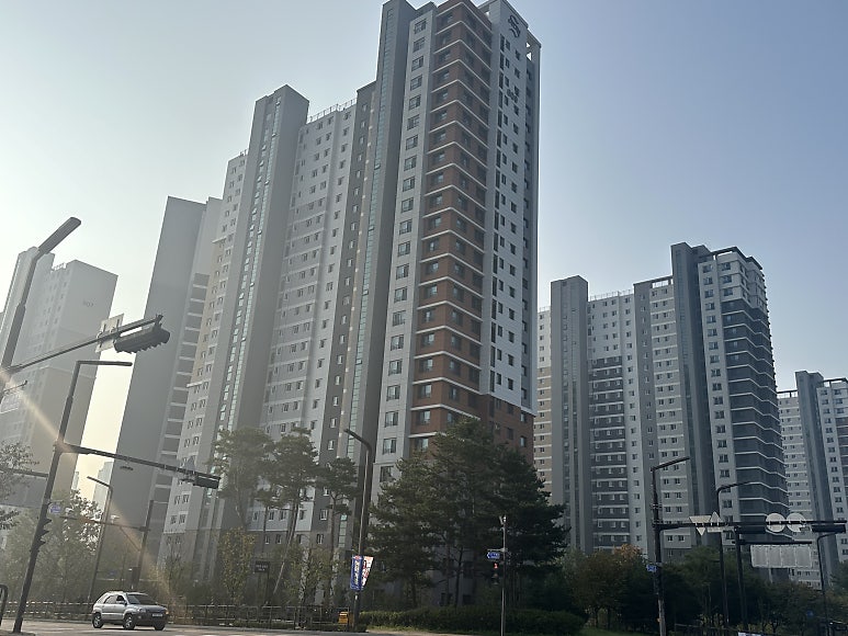 장** 후기 사진